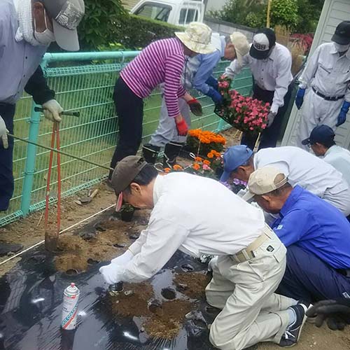 6/6 結田島公園内に5種類の花苗を植栽しました。