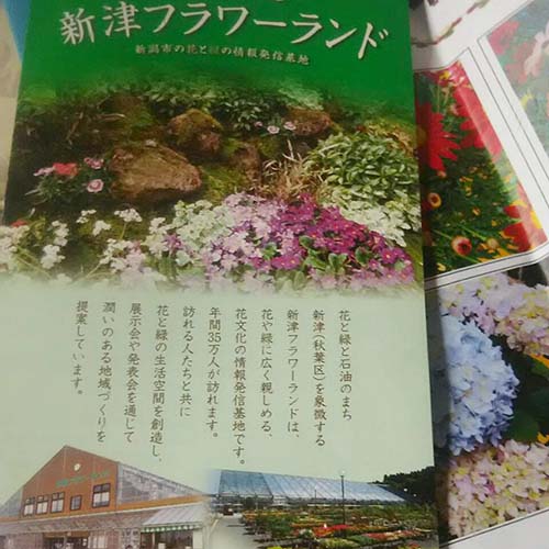 11/8 花、夢、創造…新津フラワーランドへ行って参りました。