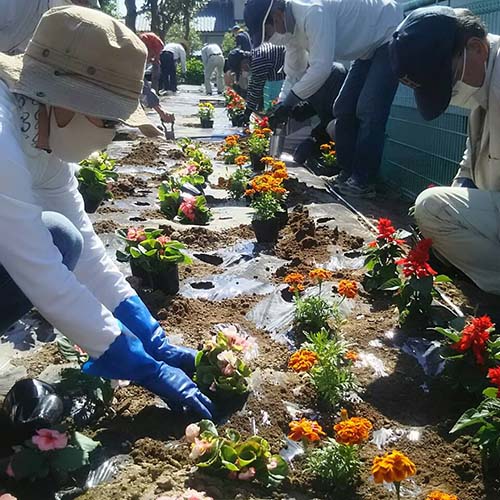 6/10 結田島公園に植栽しました。