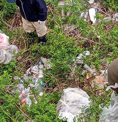 4/20㈰　「秋葉区一斉クリ−ン作戦」