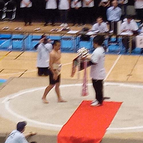 6/8㈰　「第33回わんぱく相撲新潟県大会新潟場所」