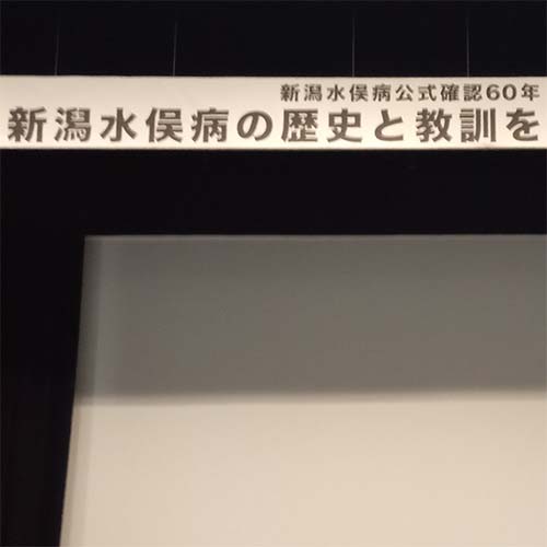 5/31㈯　「新潟水俣病の歴史と教訓を伝えるつどい」