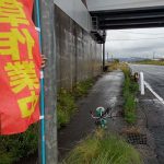 2025/11/1㈯ 新津荻川ライオンズクラブの皆さんとR403脇の歩道除草を致しました。