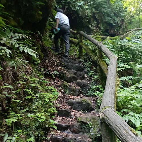 2026/7/10㈮　金津「白玉の滝」滝開き